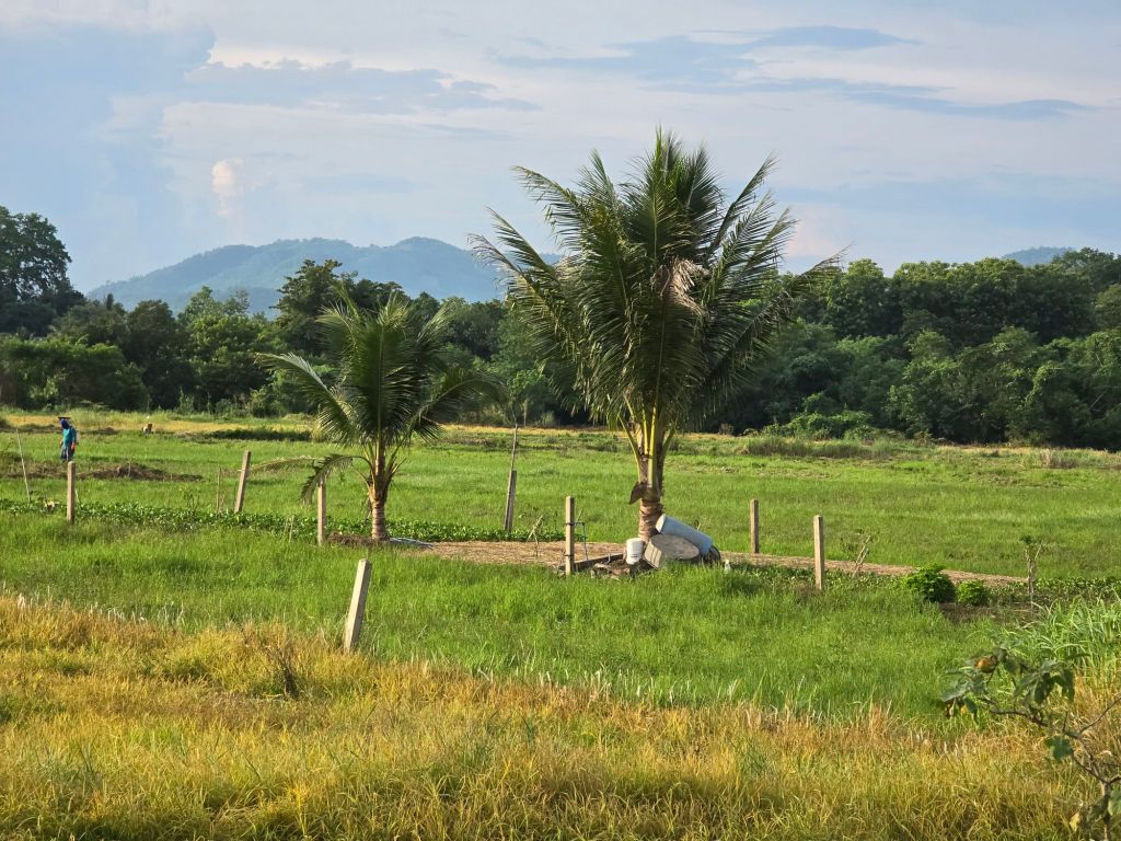 Part 2: For Those Who Want to Teach Abroad: Golden Tips for Inside and Outside the Classroom