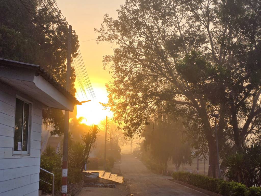 Cultural Insights and Travel Tips for Teachers