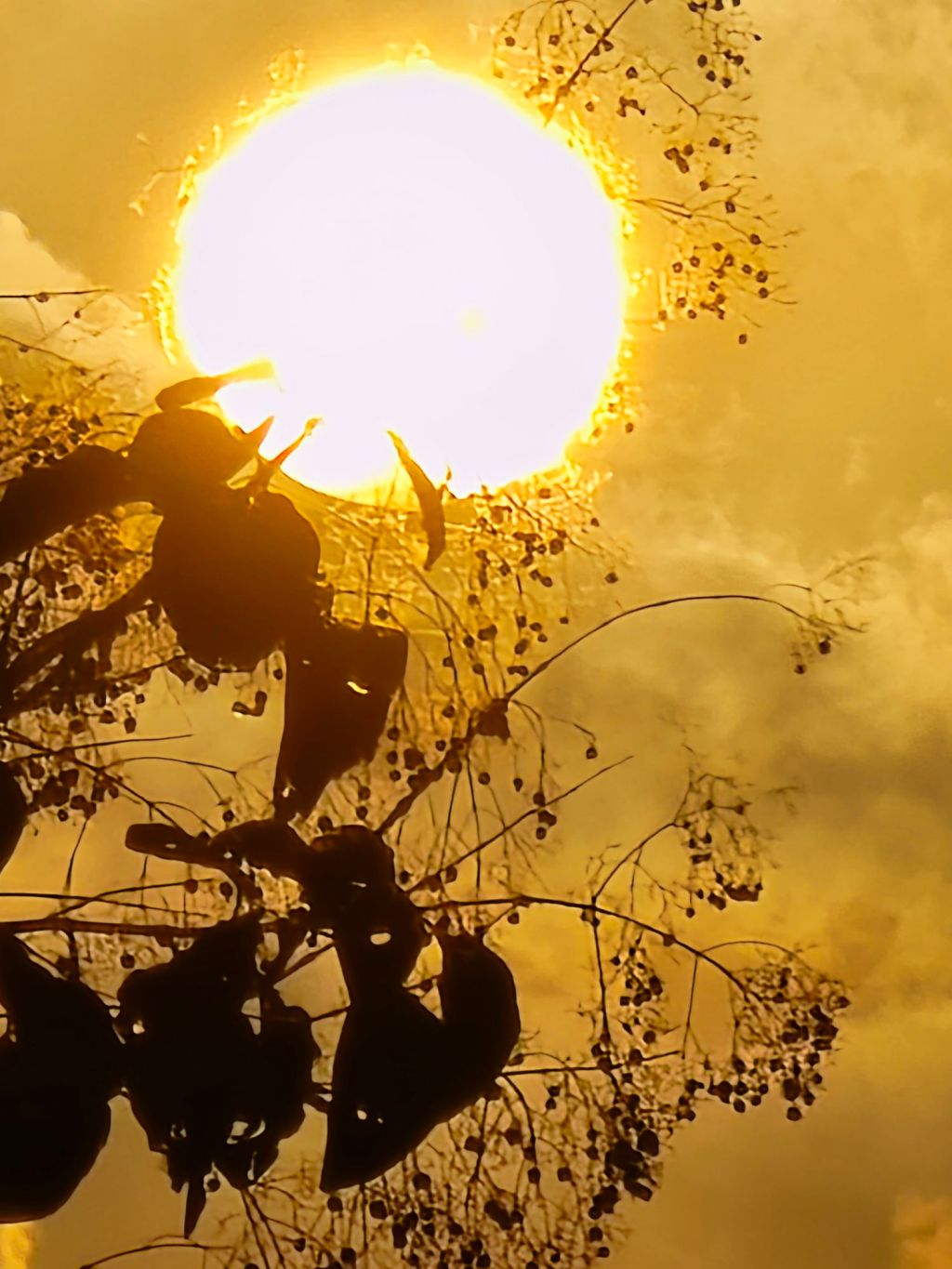 For Those Who Want to Teach Abroad: Golden Tips for Inside and Outside the Classroom